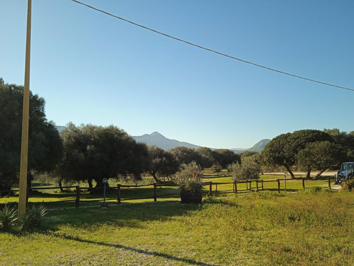 Vistamare Villa Orosei Bagian luar foto
