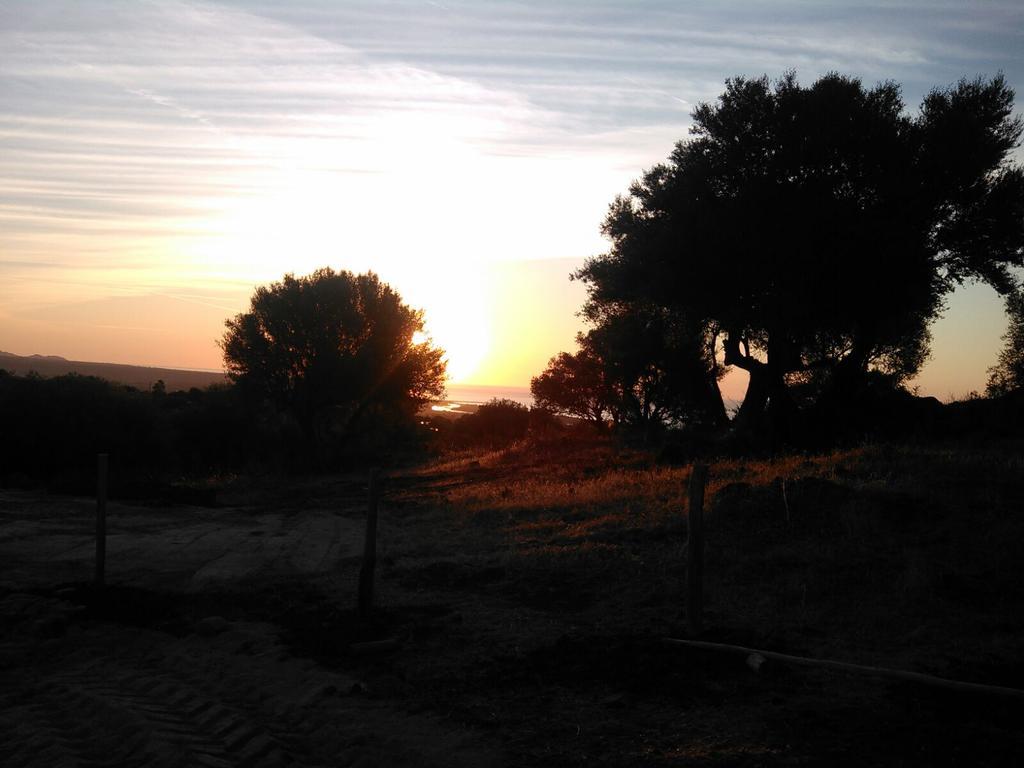 Vistamare Villa Orosei Bagian luar foto